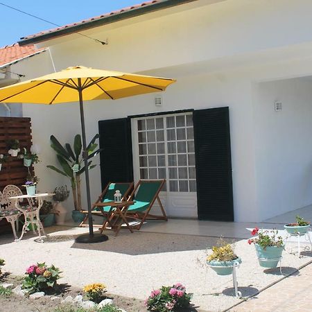 Casa Das Camelias Aveiro Luaran gambar