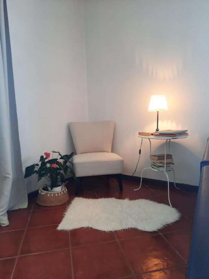 Casa Das Camelias Aveiro Luaran gambar
