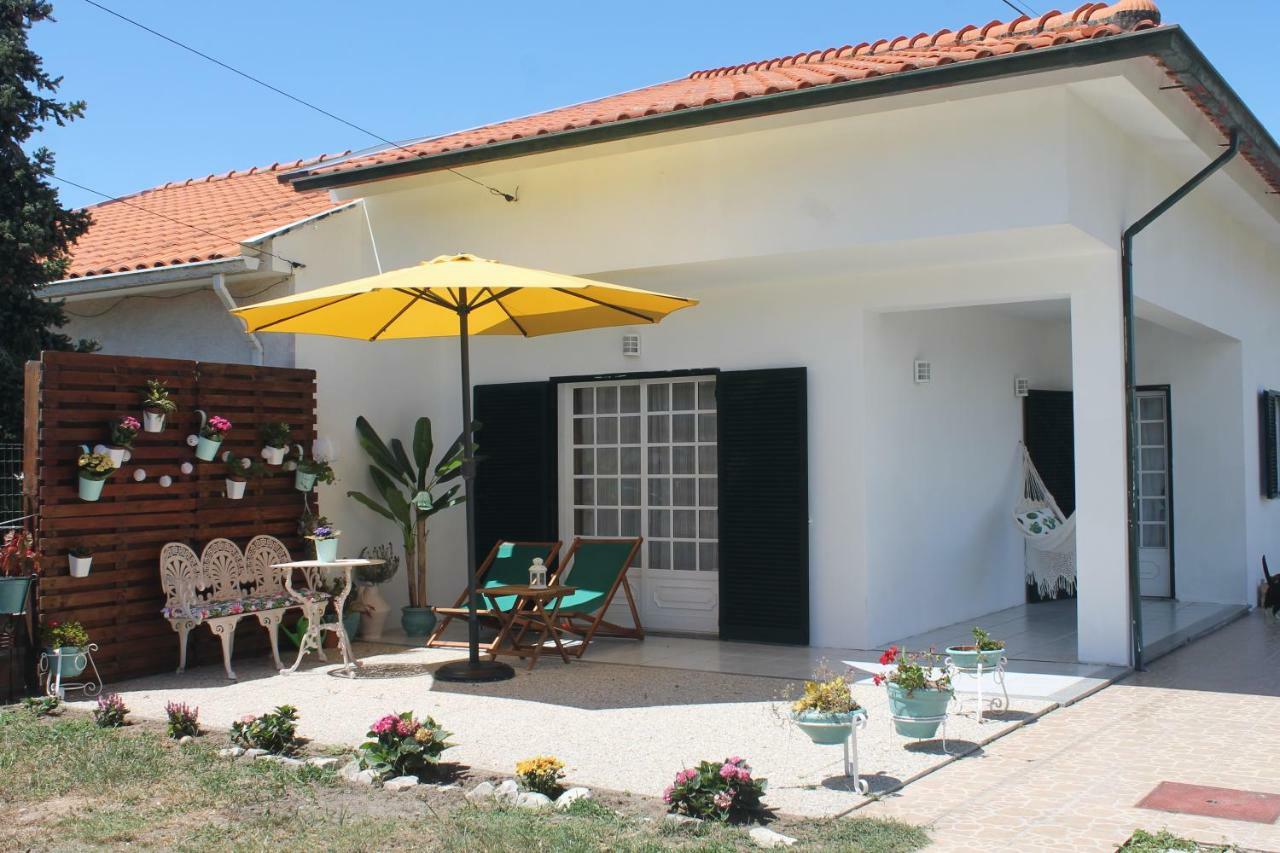 Casa Das Camelias Aveiro Luaran gambar